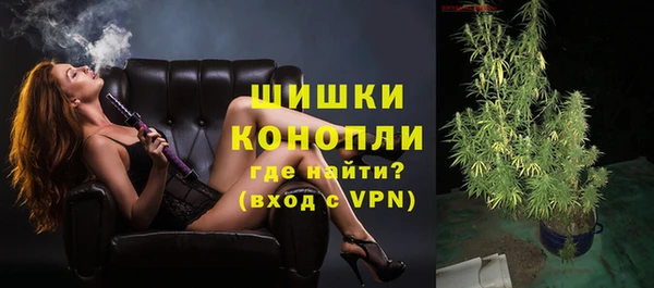 mdpv Богородск