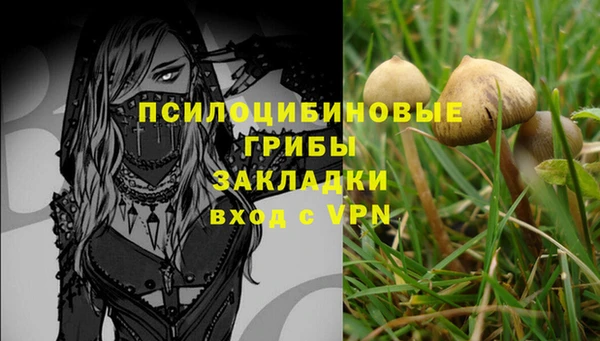 таблы Арсеньев