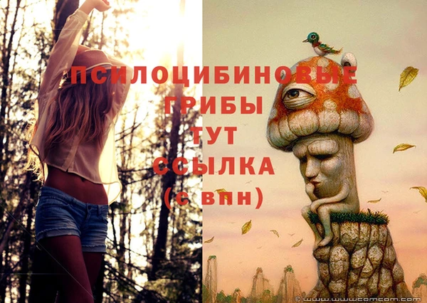 таблы Арсеньев