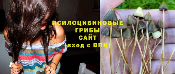 таблы Арсеньев